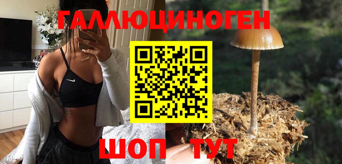Жуковский  Галлюциногенные грибы прущие грибы  Вход с VPN 