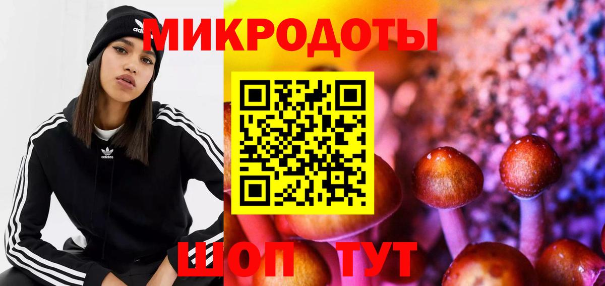Галлюциногенные грибы Psilocybine cubensis Жуковский